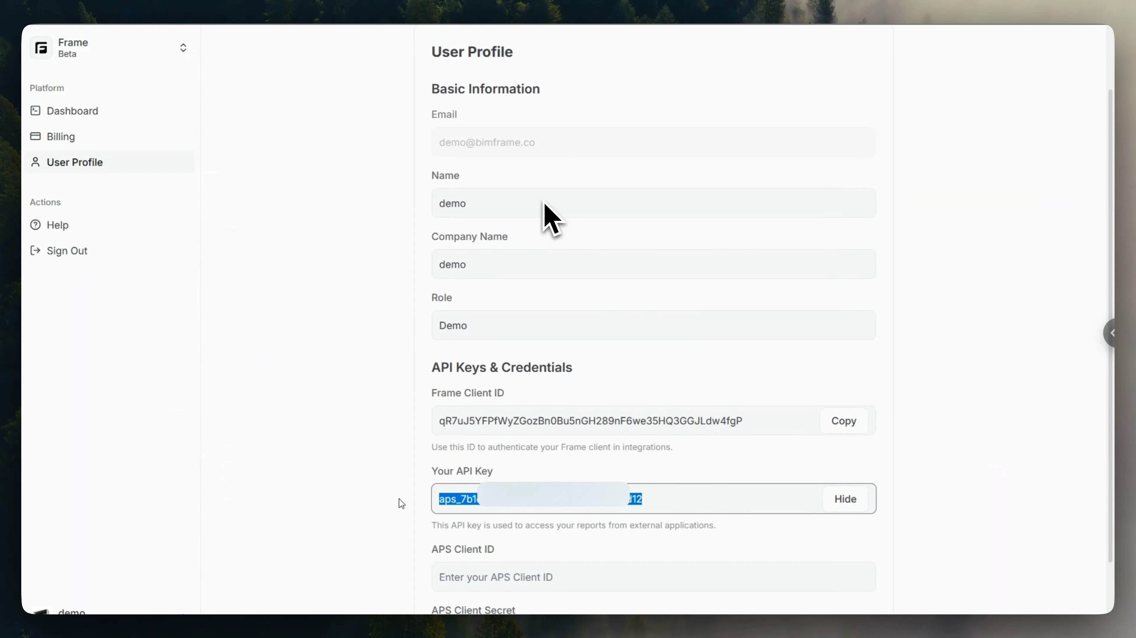 Power BI authentication dialog with the Web API key field selected